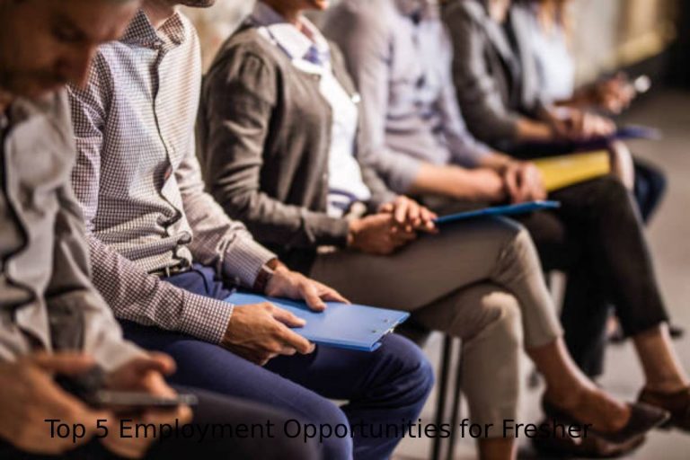 5 Employment Opportunities for Fresher