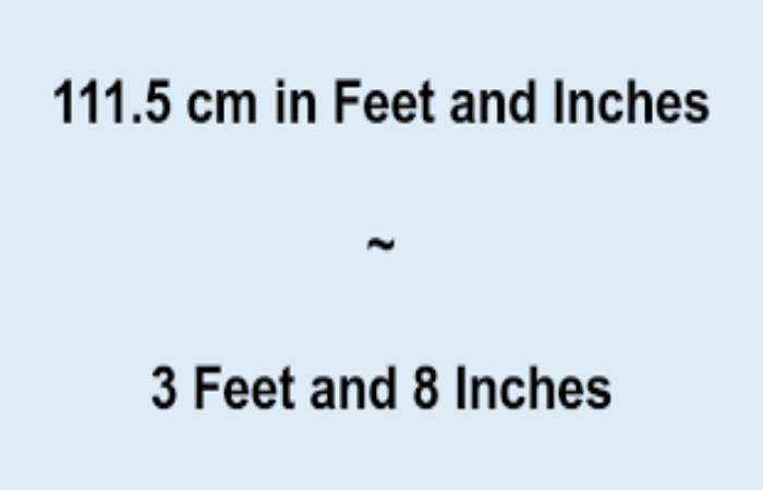 111.5cm to inches and feet