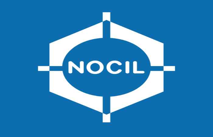 Is NOCIL an excellent stock to buy?