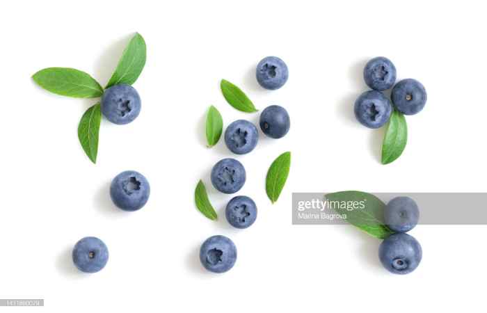 10-best-ways-to-use-blueberries (1)