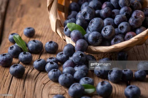 10-best-ways-to-use-blueberries