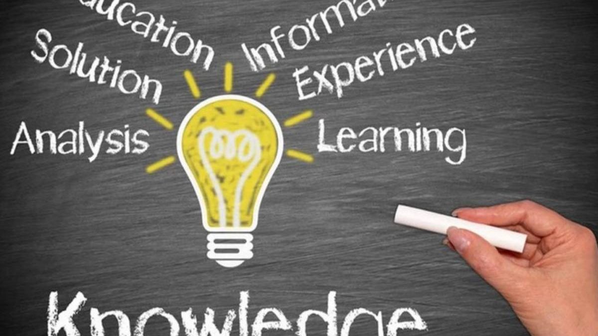 Knowledge vs. Information: Understanding the Difference