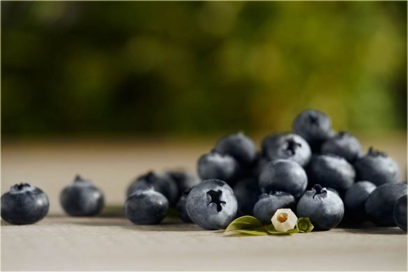 wellhealthorganic.com : 10-best-ways-to-use-blueberries