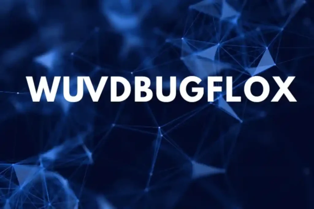 Demystifying What Is Wuvdbugflox: A Technical Reality Check